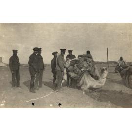 Photo from page 13 of album WWI Photograph Album- Egypt