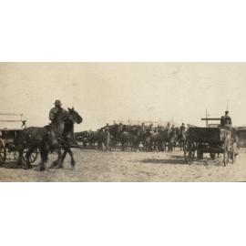 Photo from page 14 of album WWI Photograph Album- Egypt