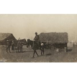 Photo from page 14 of album WWI Photograph Album- Egypt