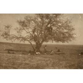 Photo from page 03 of album WWI Photograph Album- Middle East
