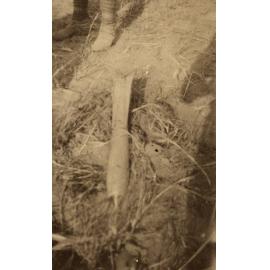Photo from page 05 of album WWI Photograph Album- Middle East
