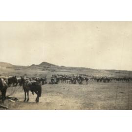 Photo from page 11 of album WWI Photograph Album- Middle East