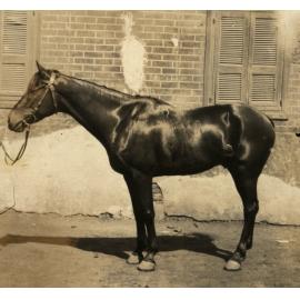 Photo from page 12 of album WWI Photograph Album- Middle East