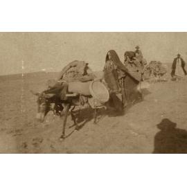Photo from page 14 of album WWI Photograph Album- Middle East