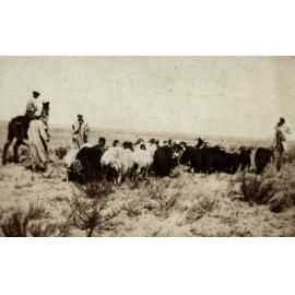 Photo from page 17 of album WWI Photograph Album- Middle East