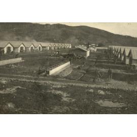 Photo from page 03 of album WWI Photograph Album- Egypt, England & Western Front