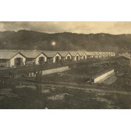 Photo from page 03 of album WWI Photograph Album- Egypt, England & Western Front