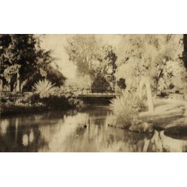 Photo from page 13 of album WWI Photograph Album- Egypt, England & Western Front