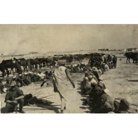 Photo from page 14 of album WWI Photograph Album- Egypt, England & Western Front