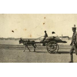 Photo from page 14 of album WWI Photograph Album- Egypt, England & Western Front