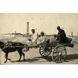 Photo from page 14 of album WWI Photograph Album- Egypt, England & Western Front