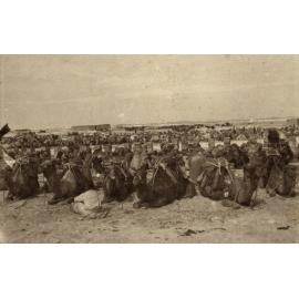 Photo from page 15 of album WWI Photograph Album- Egypt, England & Western Front