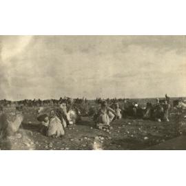 Photo from page 15 of album WWI Photograph Album- Egypt, England & Western Front