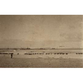 Photo from page 16 of album WWI Photograph Album- Egypt, England & Western Front