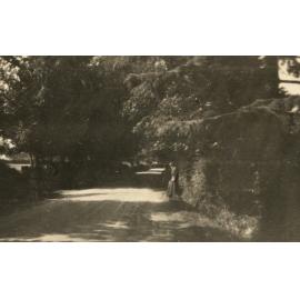 Photo from page 22 of album WWI Photograph Album- Egypt, England & Western Front