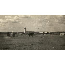 Photo from page 05 of album WWI Photograph Album- Egypt & Palestine