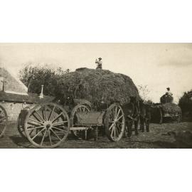 Photo from page 07 of album WWI Photograph Album- Egypt & Palestine