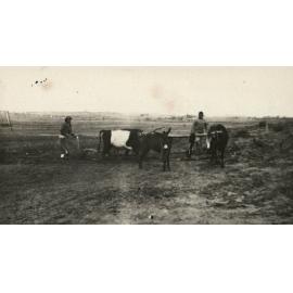 Photo from page 07 of album WWI Photograph Album- Egypt & Palestine