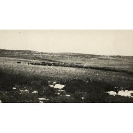 Photo from page 08 of album WWI Photograph Album- Egypt & Palestine