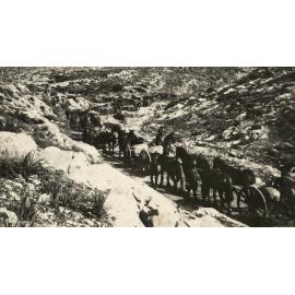 Photo from page 08 of album WWI Photograph Album- Egypt & Palestine