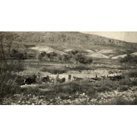 Photo from page 11 of album WWI Photograph Album- Egypt & Palestine