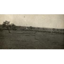 Photo from page 13 of album WWI Photograph Album- Egypt & Palestine