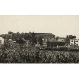 Photo from page 02 of album WWI Photograph Album- Middle East