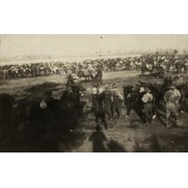 Photo from page 03 of album WWI Photograph Album- Middle East