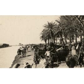 Photo from page 04 of album WWI Photograph Album- Middle East