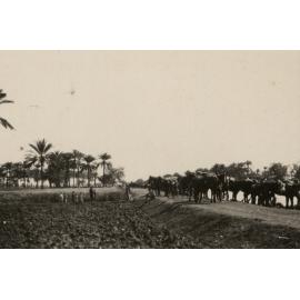 Photo from page 04 of album WWI Photograph Album- Middle East