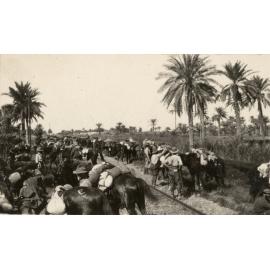 Photo from page 04 of album WWI Photograph Album- Middle East