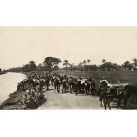 Photo from page 05 of album WWI Photograph Album- Middle East