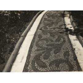 Photo from page 04 of album WWI Photograph Album- Egypt & Sinai
