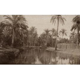 Photo from page 05 of album WWI Photograph Album- Egypt & Sinai