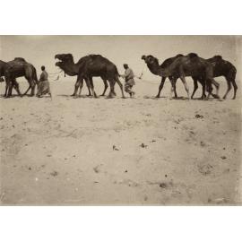 Photo from page 05 of album WWI Photograph Album- Egypt & Sinai