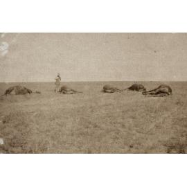 Photo from page 06 of album WWI Photograph Album- Egypt & Sinai