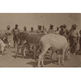 Photo from page 07 of album WWI Photograph Album- Egypt & Sinai