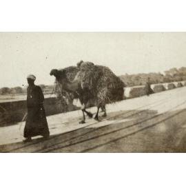 Photo from page 02 of album WWI Photograph Album- Egypt