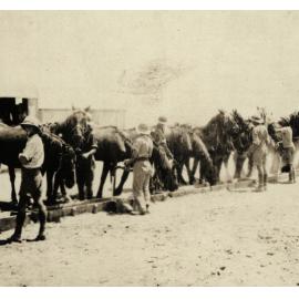 Photo from page 04 of album WWI Photograph Album- Egypt