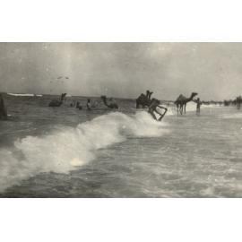 Photo from page 04 of album WWI Photograph Album- Egypt