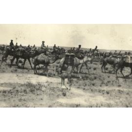 Photo from page 05 of album WWI Photograph Album- Egypt