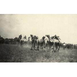 Photo from page 06 of album WWI Photograph Album- Egypt
