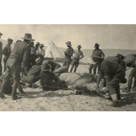 Photo from page 06 of album WWI Photograph Album- Egypt