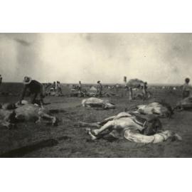 Photo from page 07 of album WWI Photograph Album- Egypt