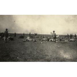 Photo from page 07 of album WWI Photograph Album- Egypt