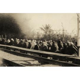 Photo from page 07 of album WWI Photograph Album- Egypt