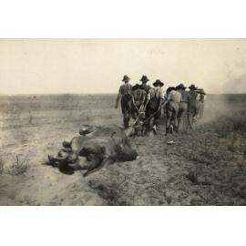 Photo from page 07 of album WWI Photograph Album- Egypt