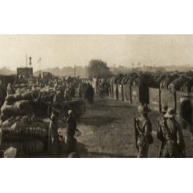 Photo from page 12 of album WWI Photograph Album- Egypt