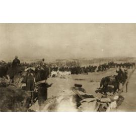 Photo from page 12 of album WWI Photograph Album- Egypt
