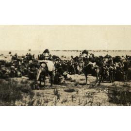Photo from page 12 of album WWI Photograph Album- Egypt